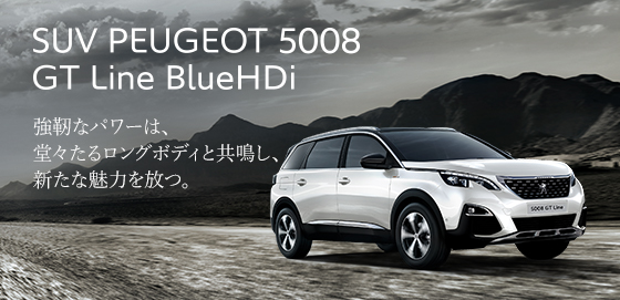 大注目の特別仕様車フェア👀