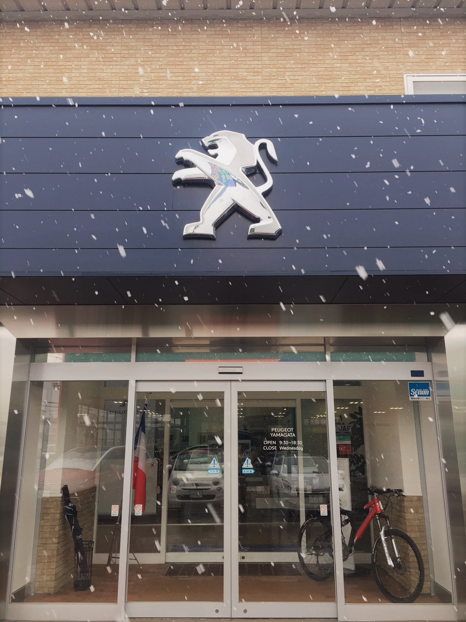 雪が降りました