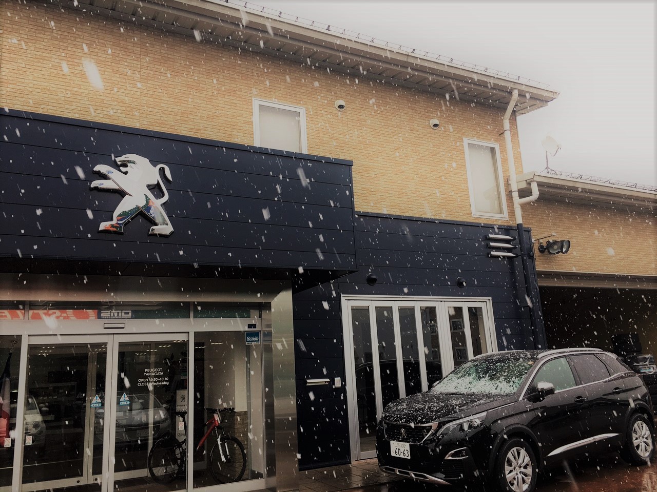 雪が降りました