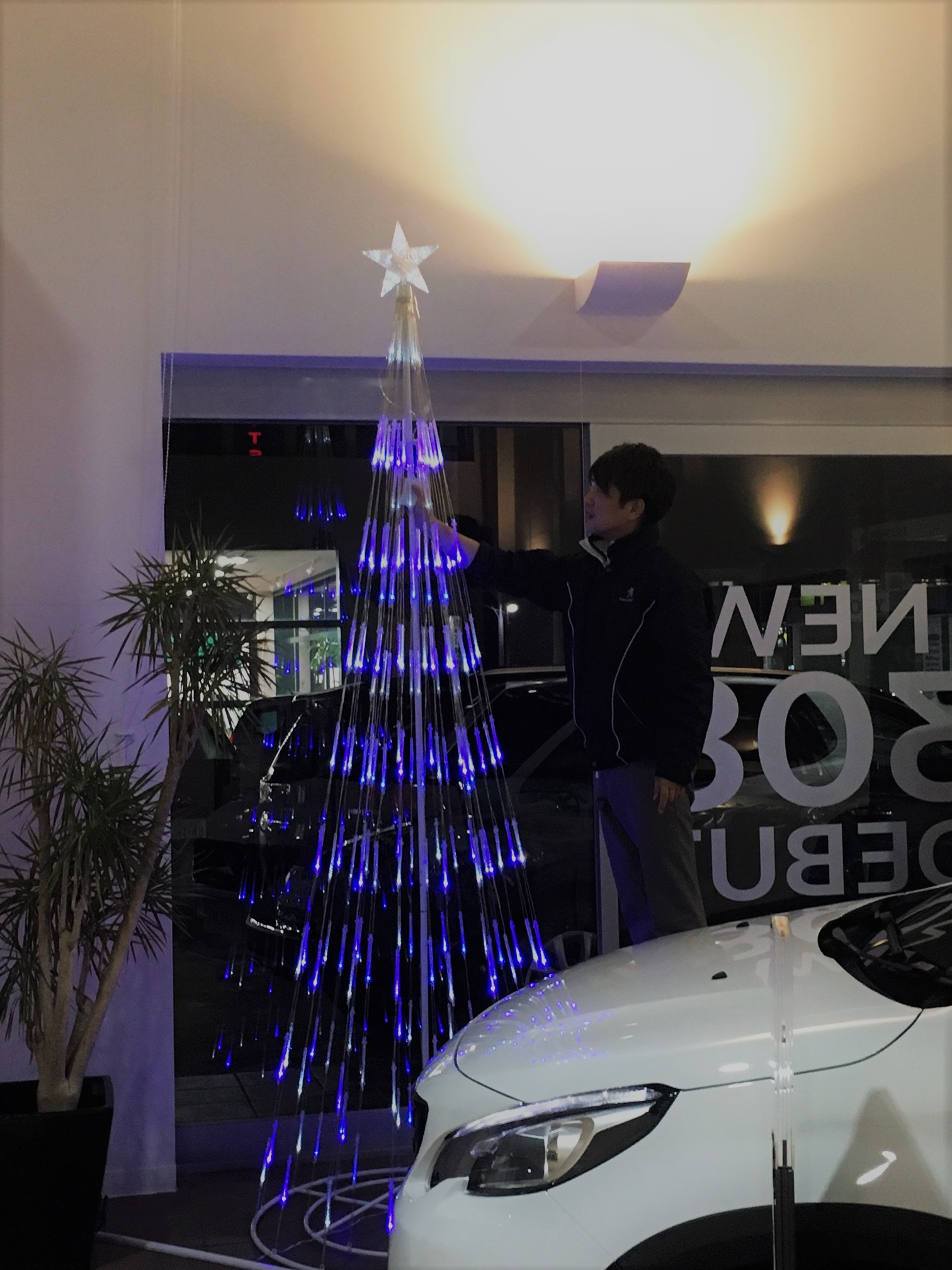 クリスマスの準備パート2