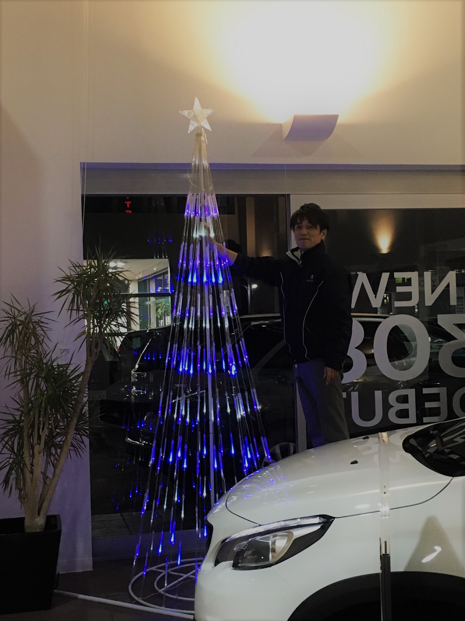 クリスマスの準備パート2