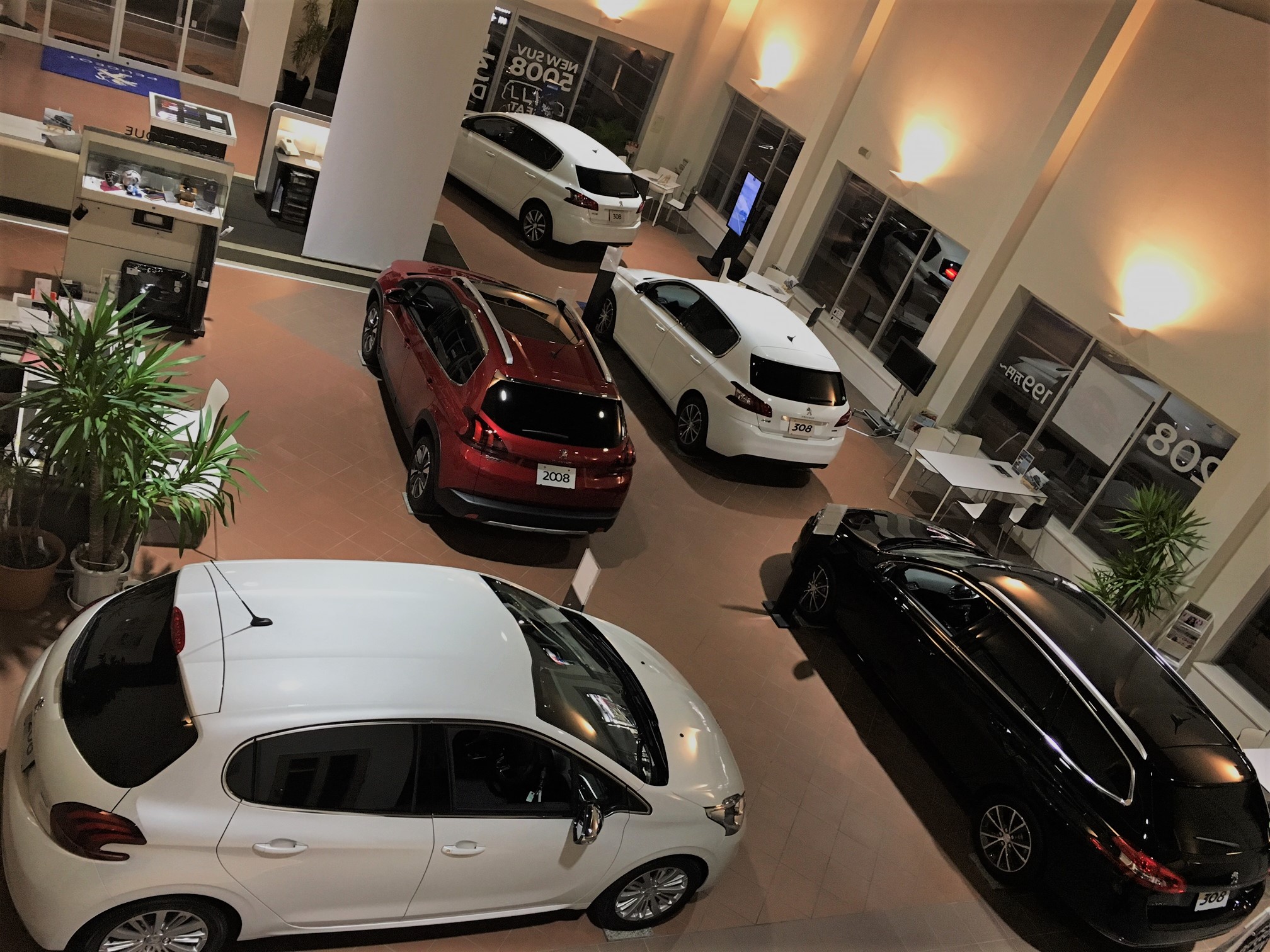 展示車が入れ替わりました＊