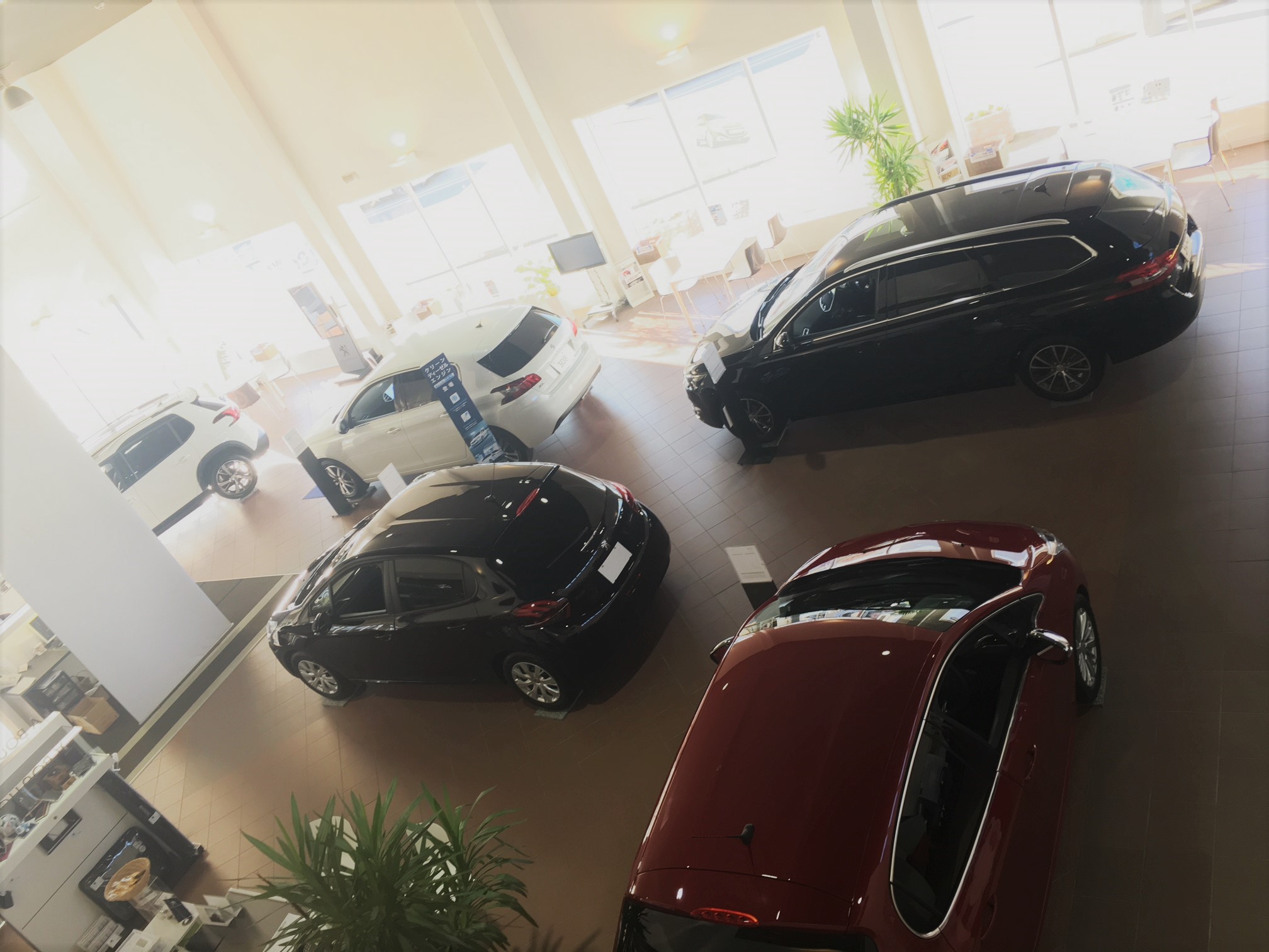 展示車が入れ替わりました＊