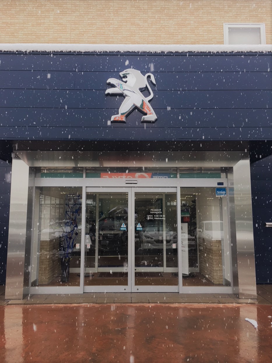 雪、積もりました