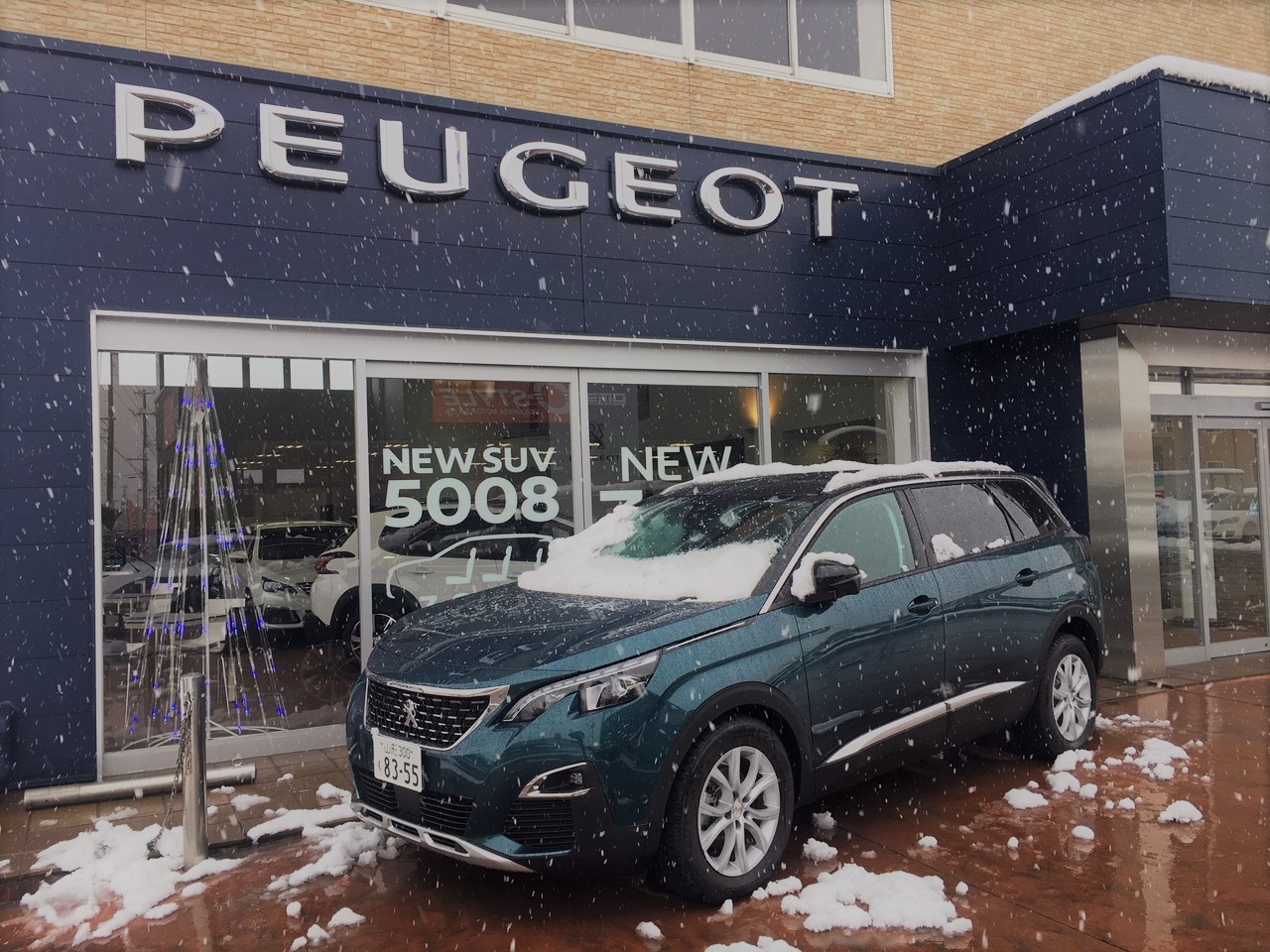 雪、積もりました