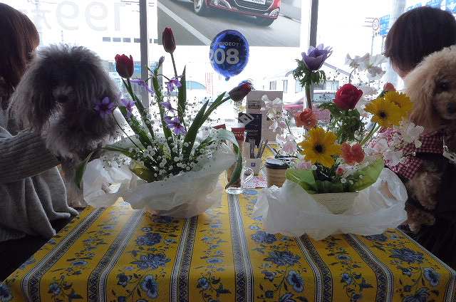 ご来場ありがとうございました！