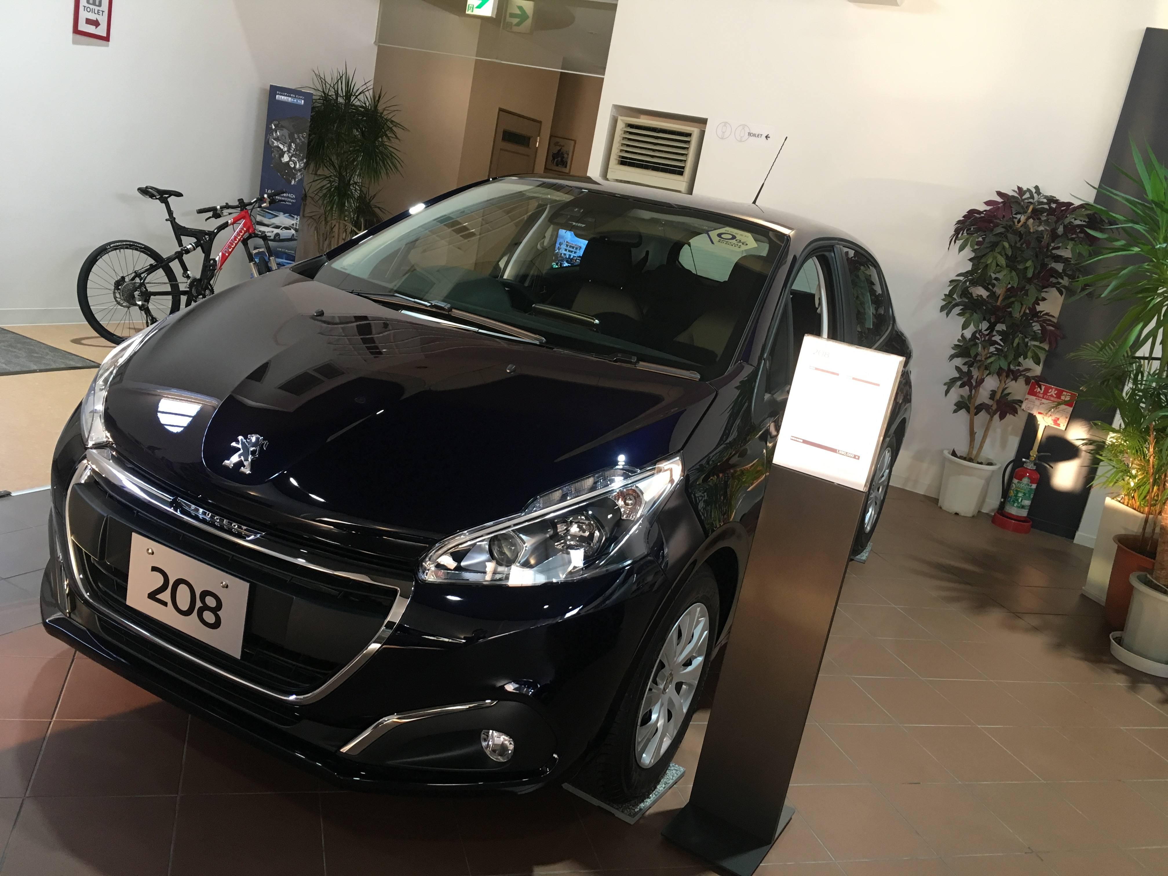 金利0％の特別なナツ