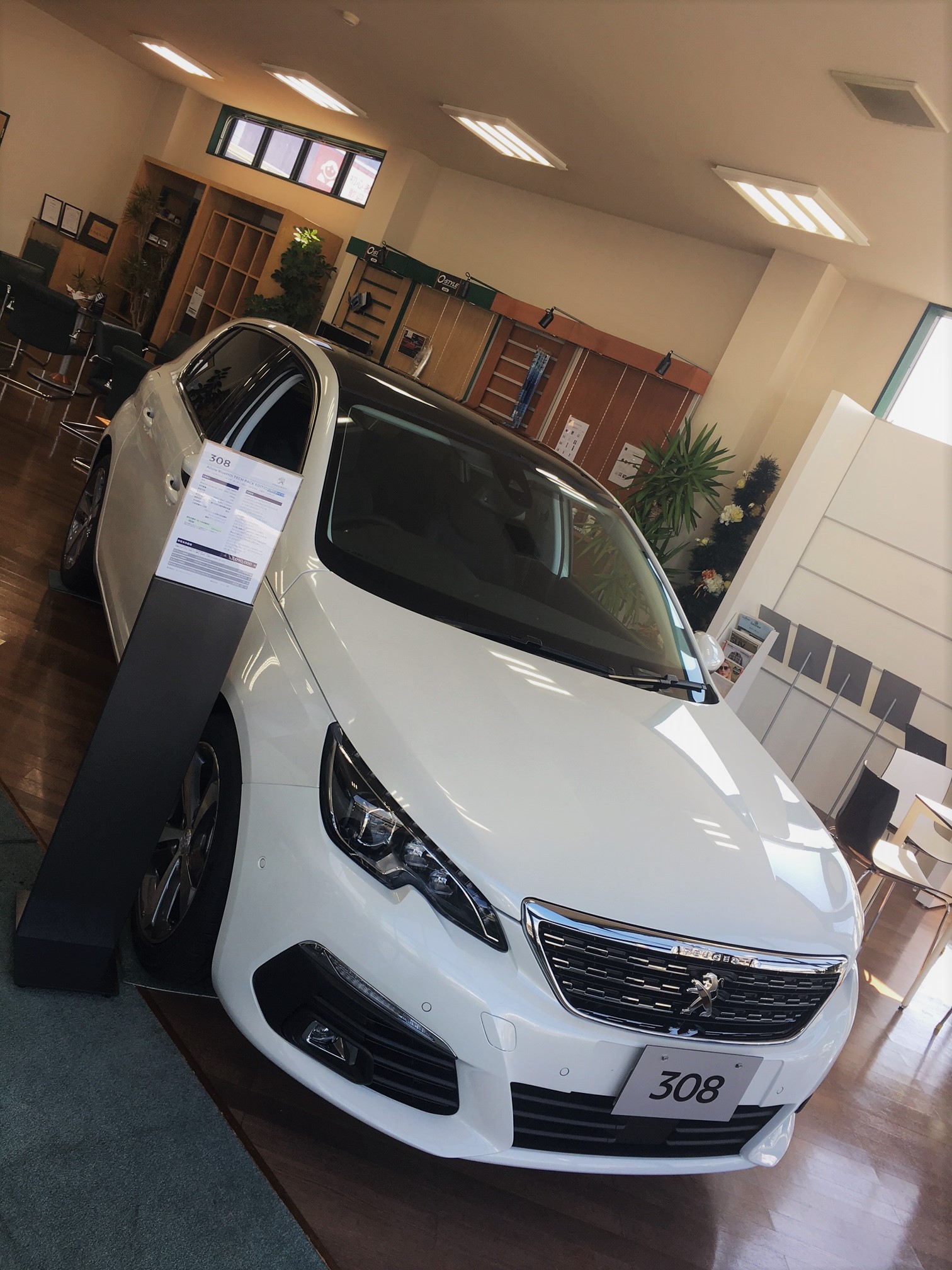 308Allute BlieHDi TECK PACK EDITION