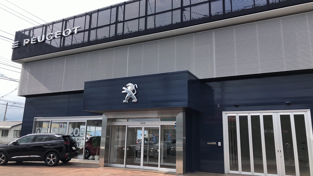 中古車フェア🚗