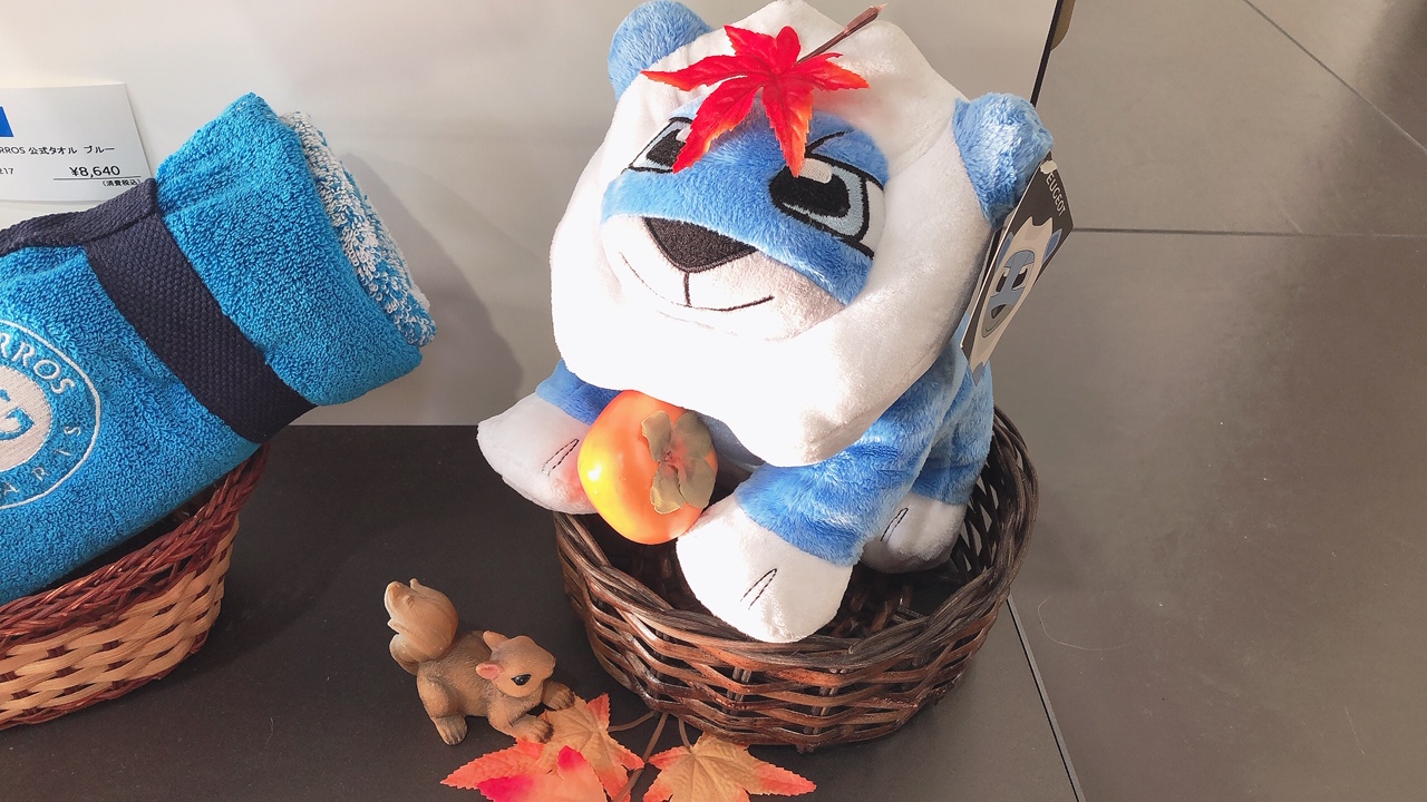 ショールームの秋支度🍂