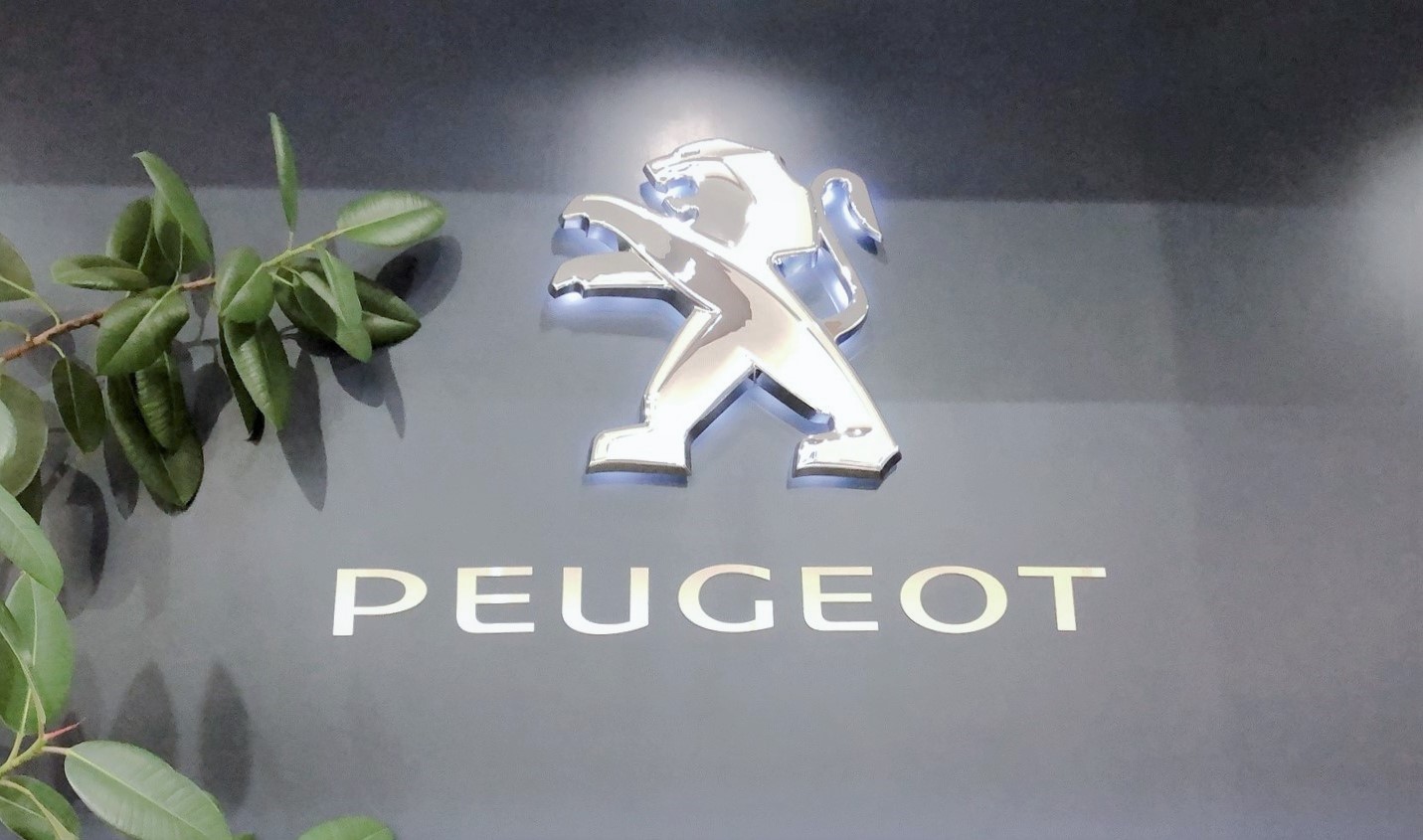 本日は冬至です