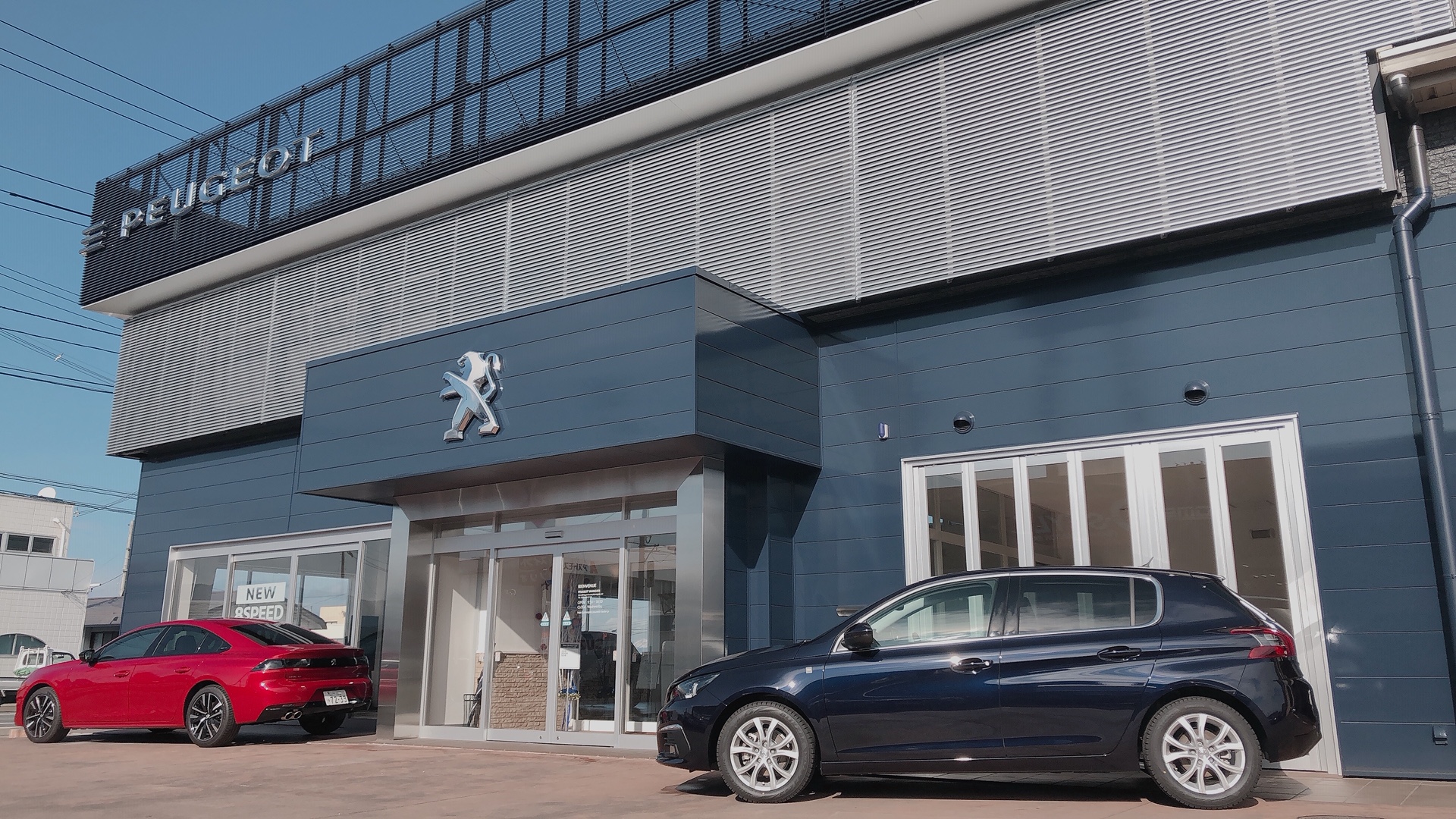 大注目の特別仕様車フェア👀