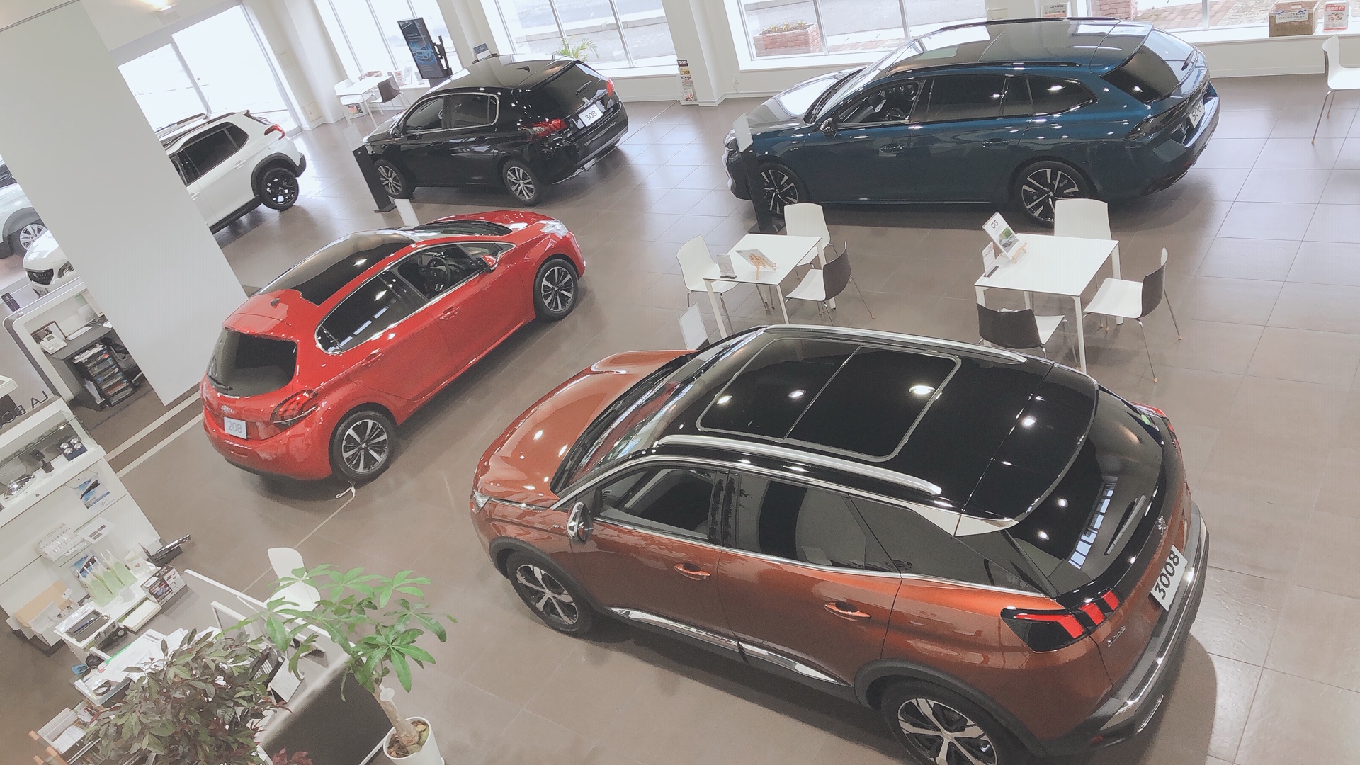 展示車入れ替えました