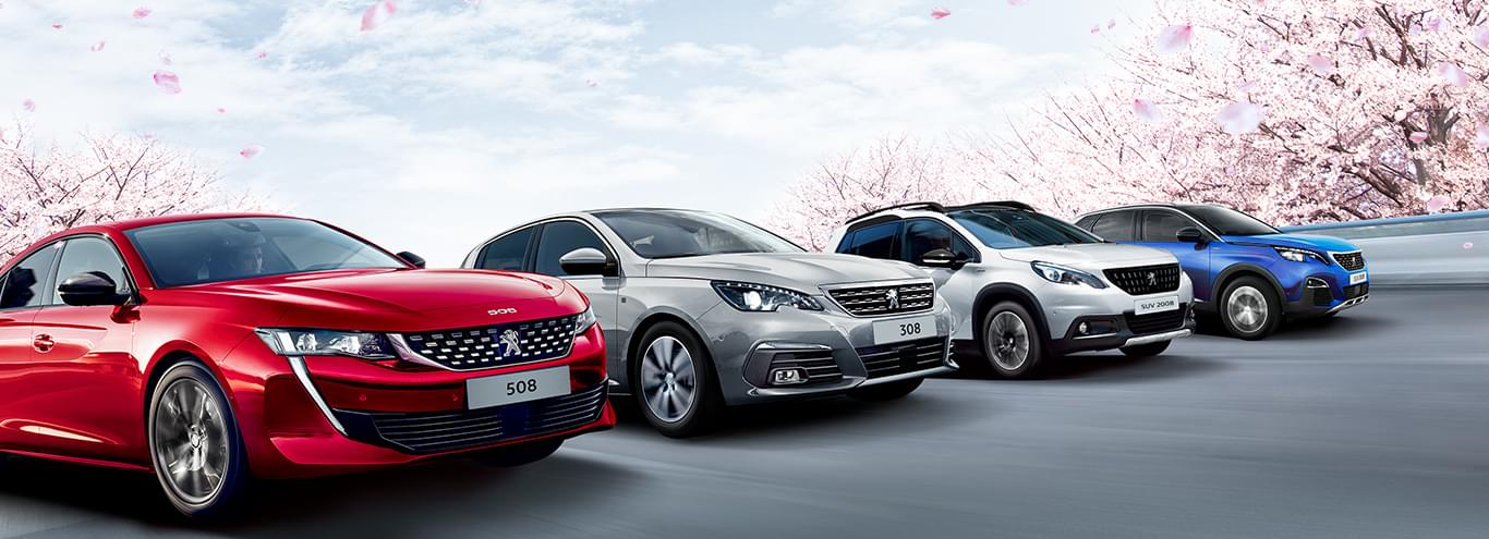 この春、最後です🌸