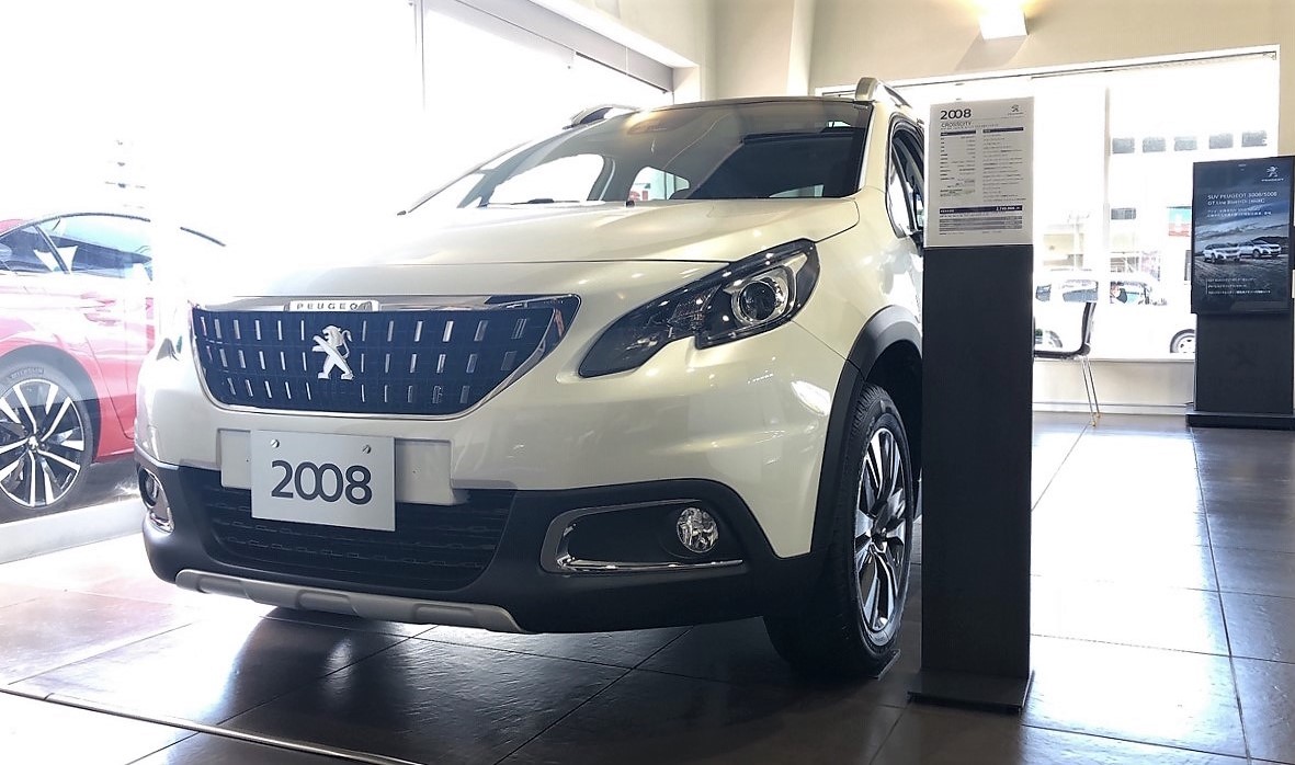 夏の気配ですね🌻