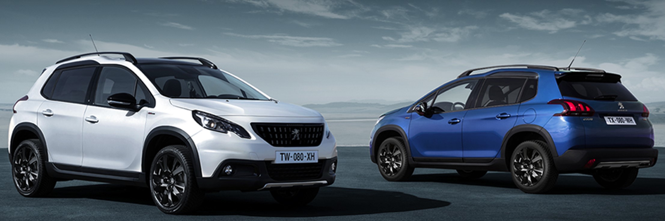 夏の気配ですね🌻