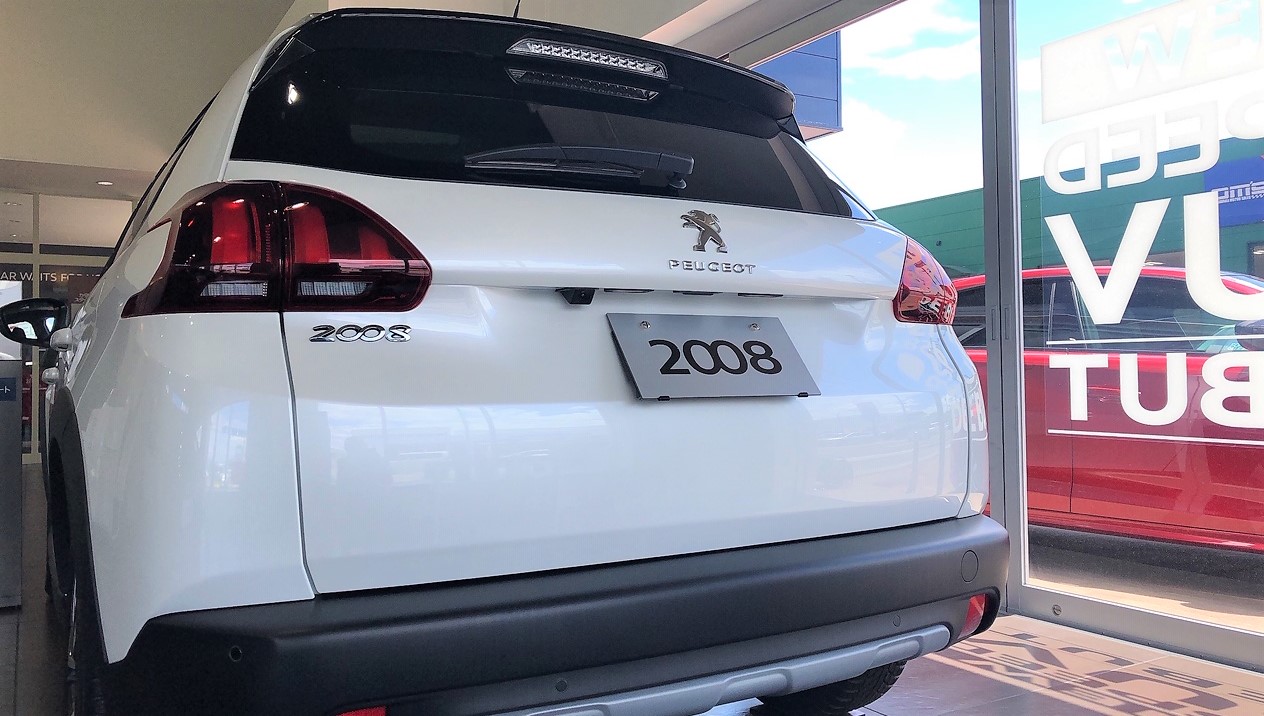 夏の気配ですね🌻