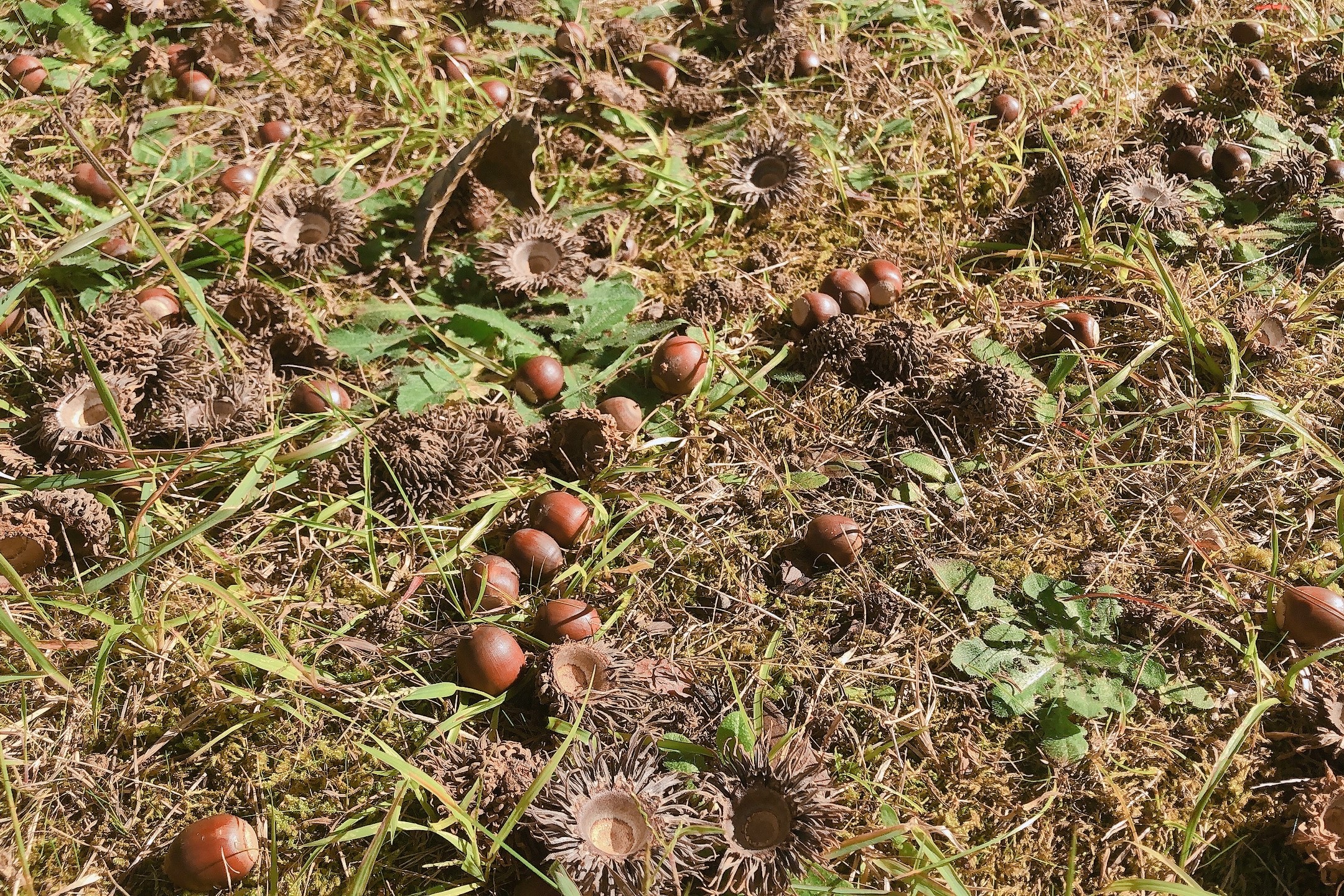 冬の備えは大丈夫ですか？