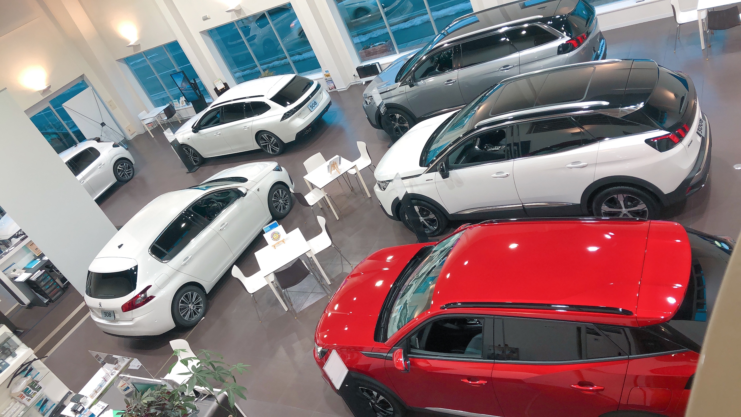 展示車入れ替えました