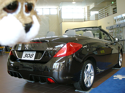 308CCデビュー！！