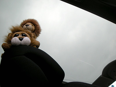 Neｗ試乗車！！