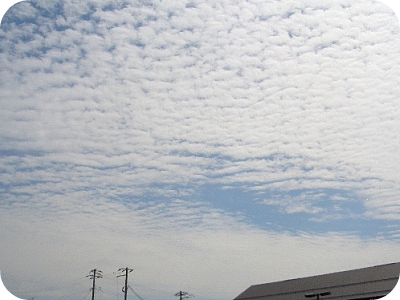 「秋晴れとPND」