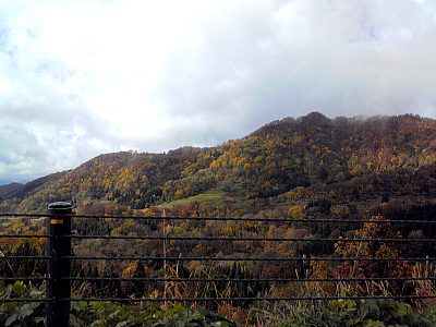 秋のドライブ。