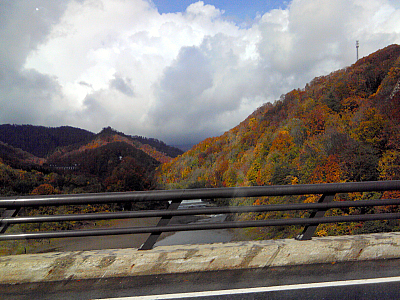 秋のドライブ。