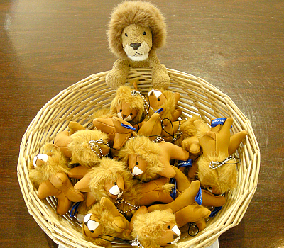 イオン三川ショッピングセンター出張展示会