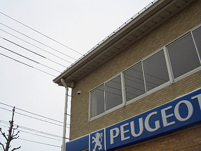 2010年は、プジョーの年！！！