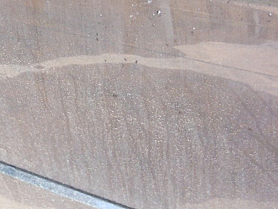 2010年は、プジョーの年！！！