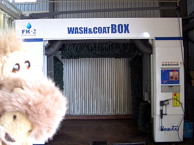 2010年は、プジョーの年！！！