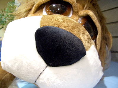 2010年　新春初売りフェア開催！！