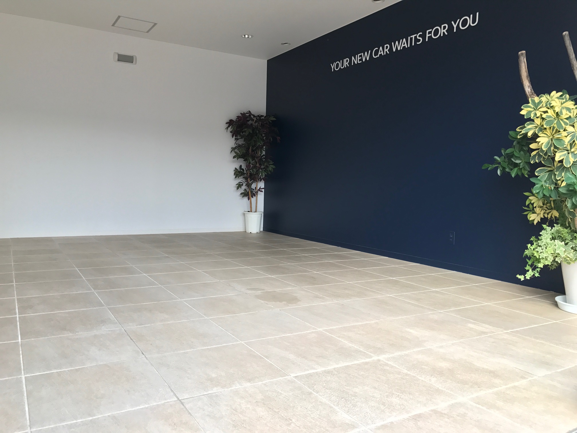 YOUR NEW CAR WAITS FOR YOU