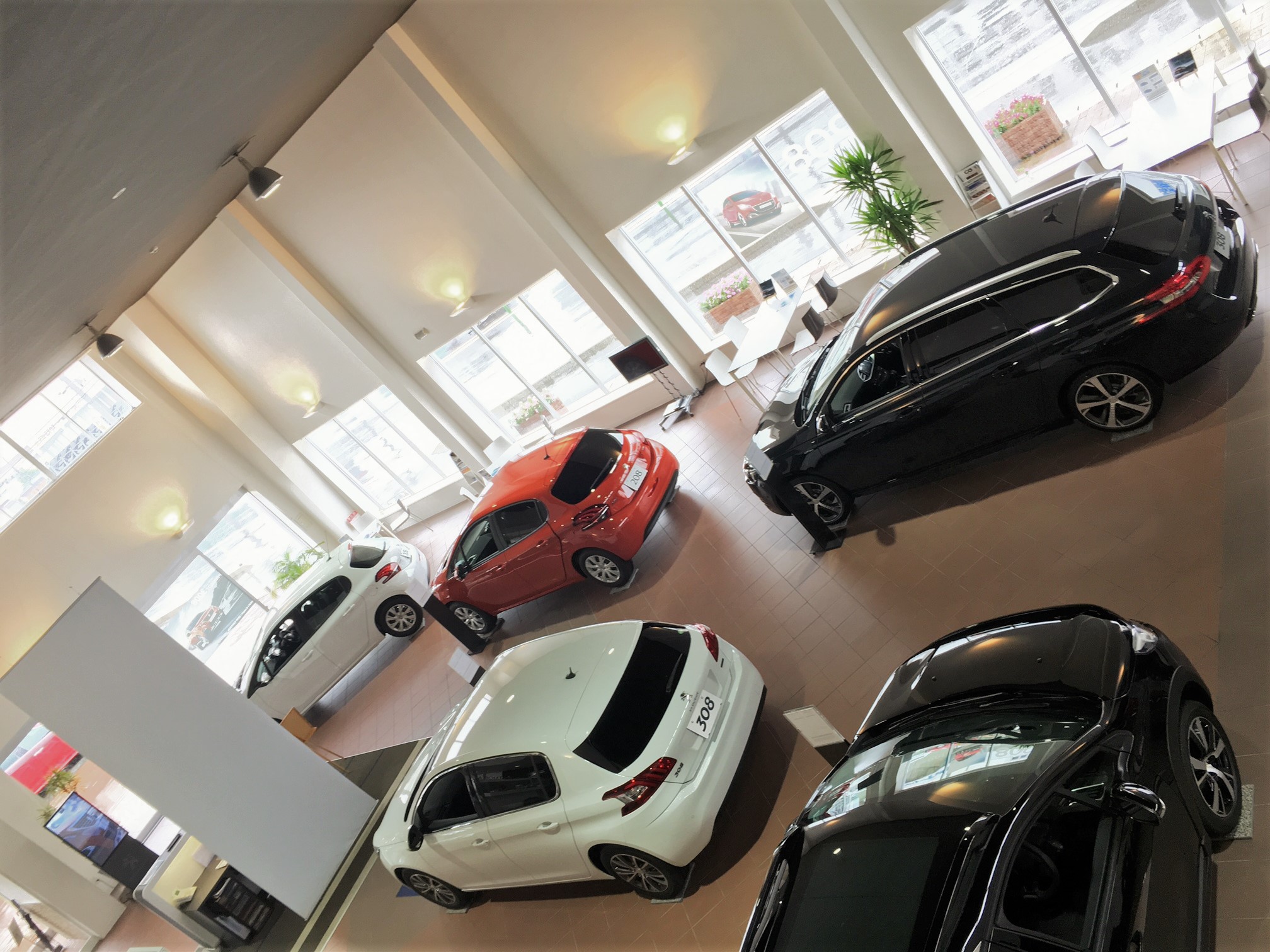 ショールーム内の展示車たち