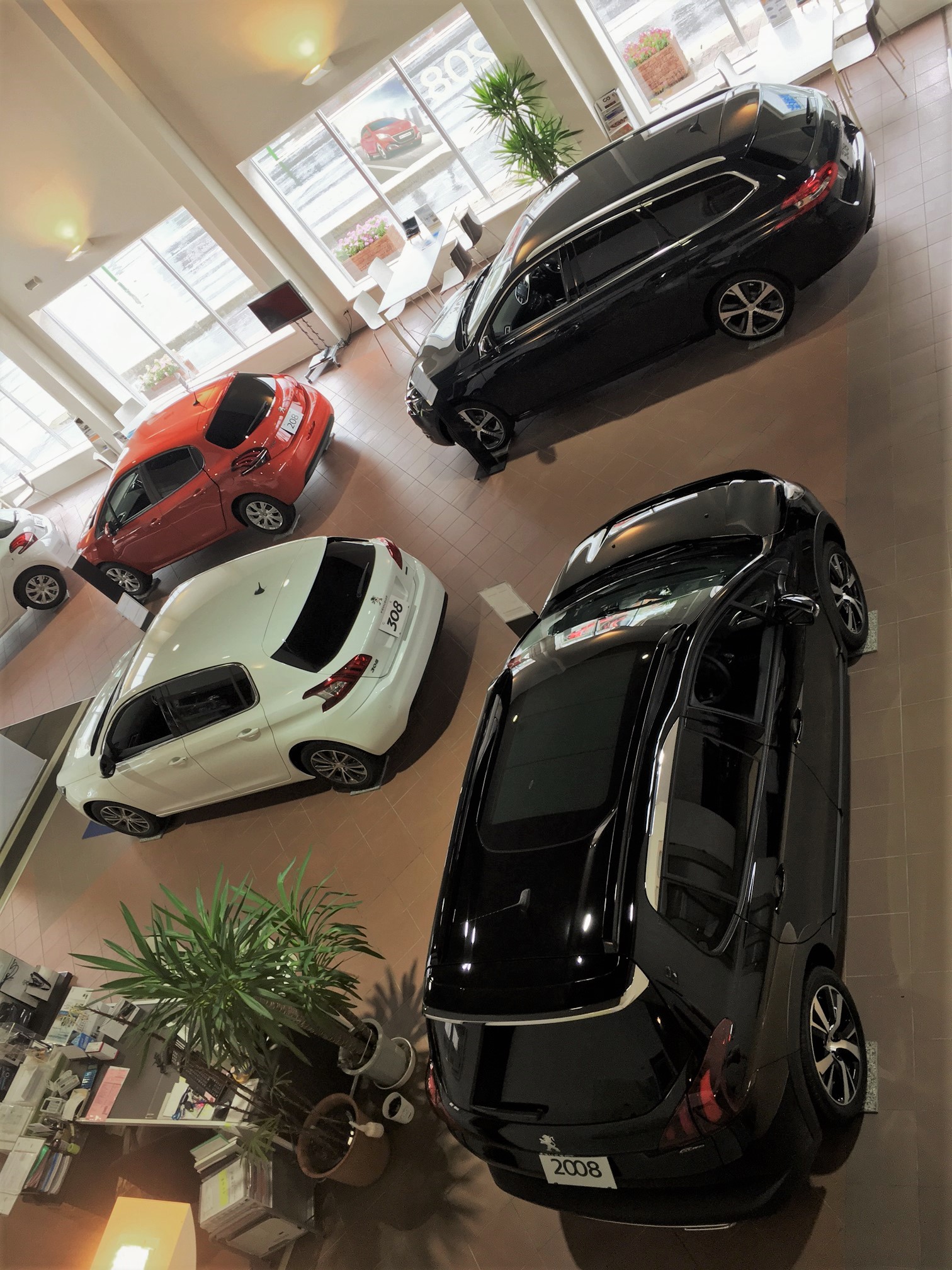 ショールーム内の展示車たち