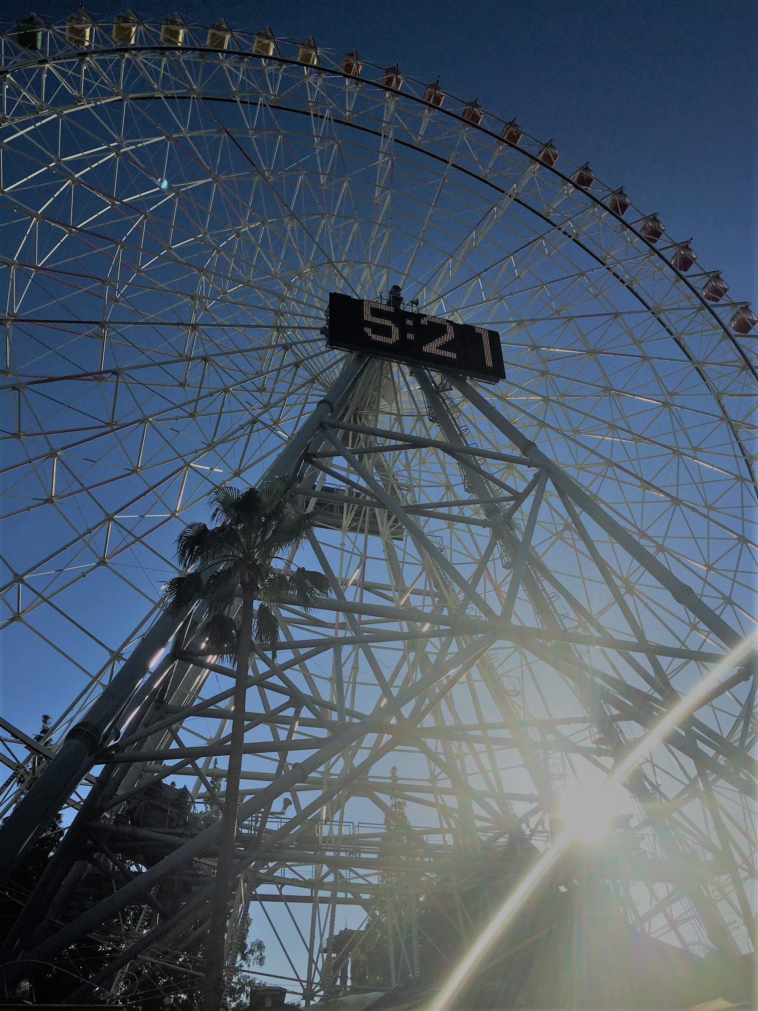 本日より通常営業です