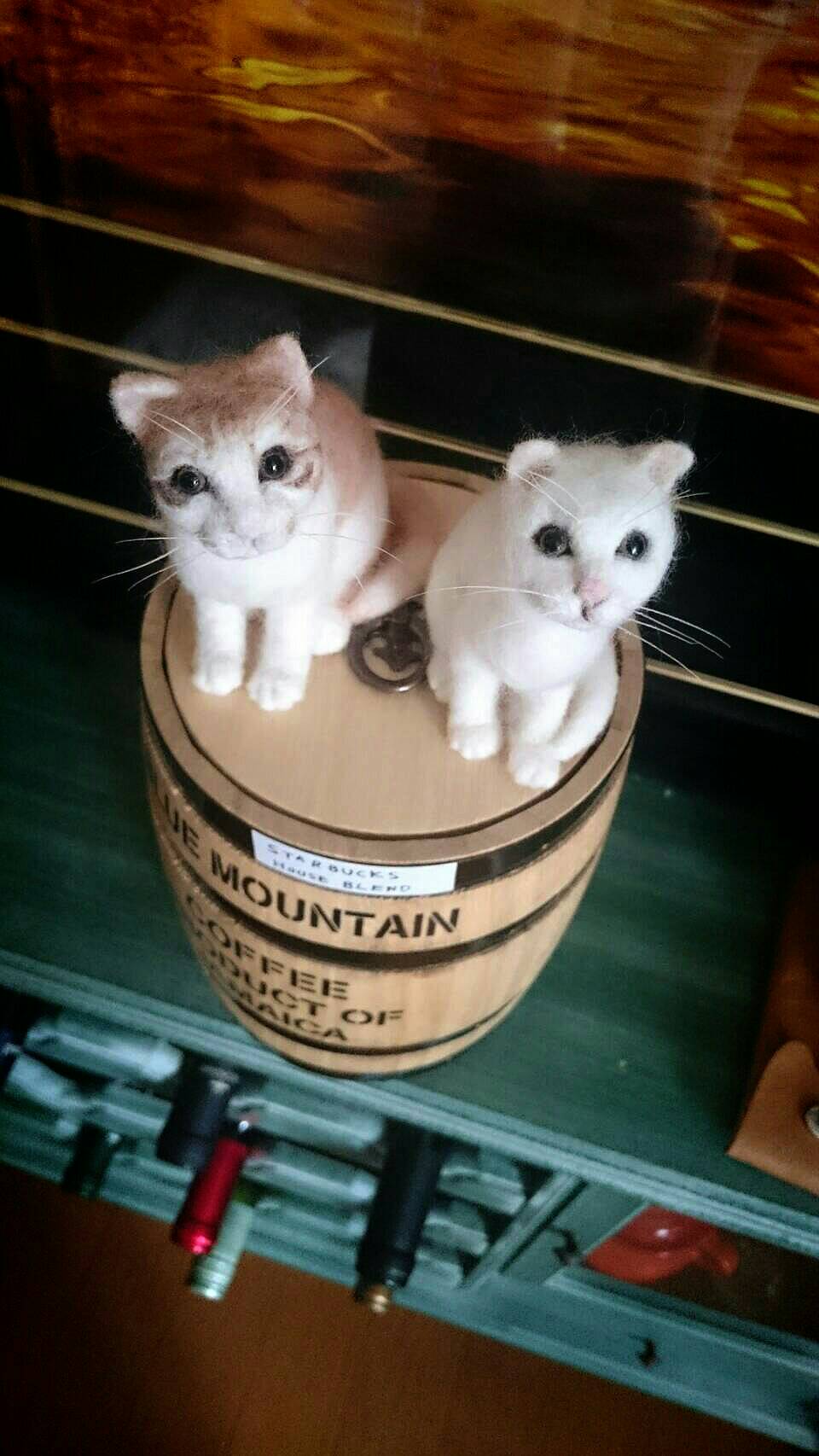 芸術ねこ
