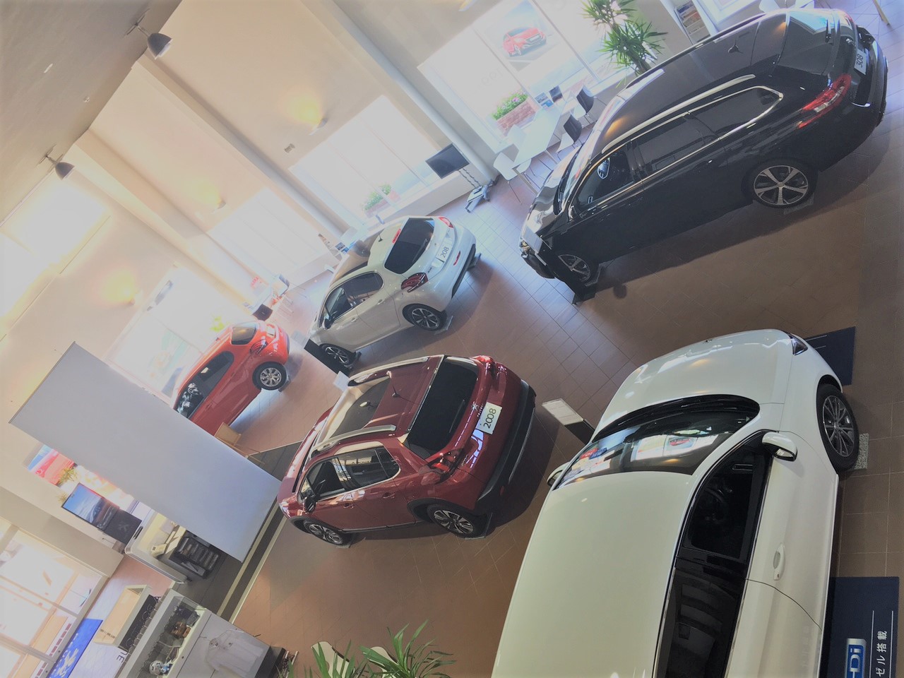 展示車入れ替えしました＊