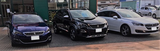 試乗する車はキミにきめた！