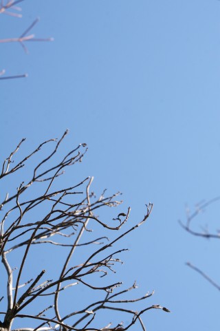 震災から7年