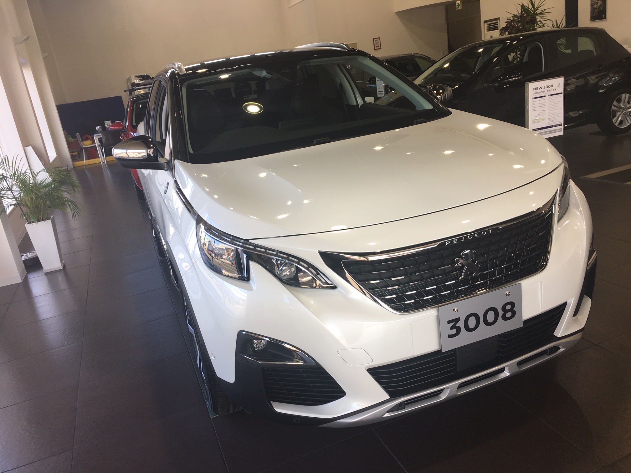 3008CROSSCITY