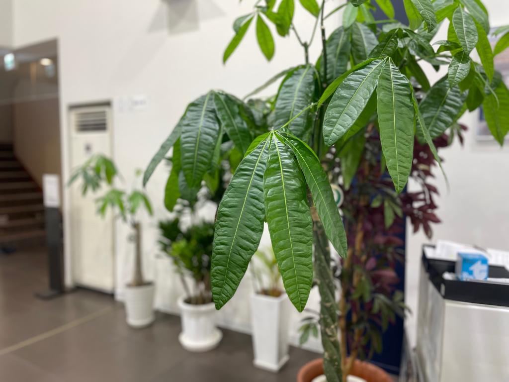 石井再生工場🌱
