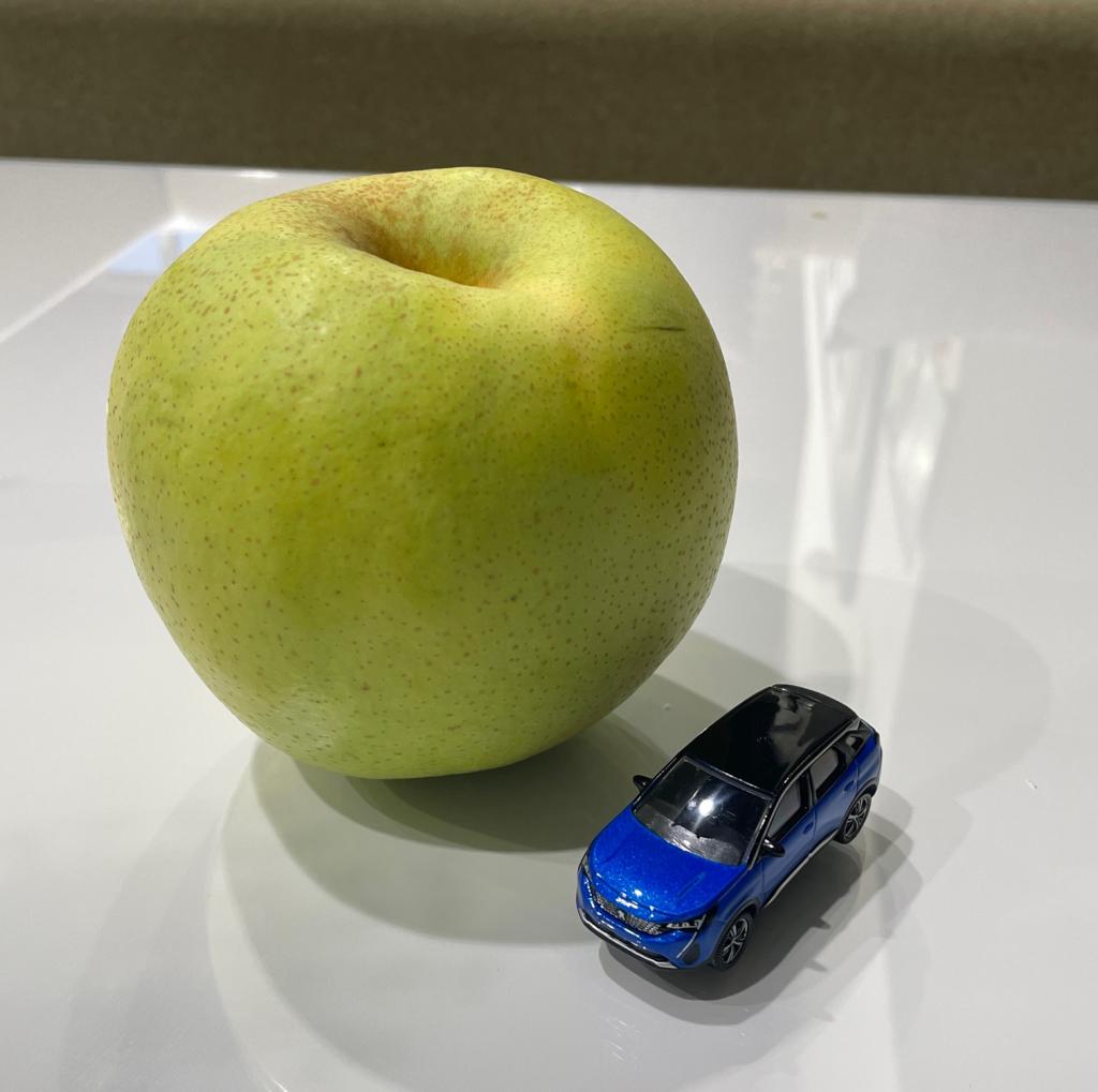 中秋の名満月🌕