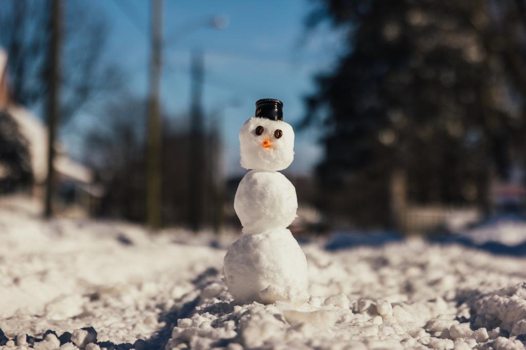冬支度☃