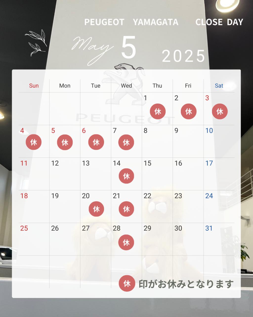 🦁GW休業及び5月定休日のご案内