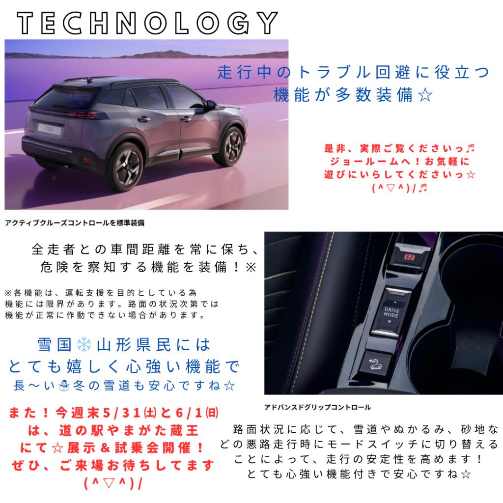 オススメ車種！☆コンパクトSUV【2008】！🦁✨
