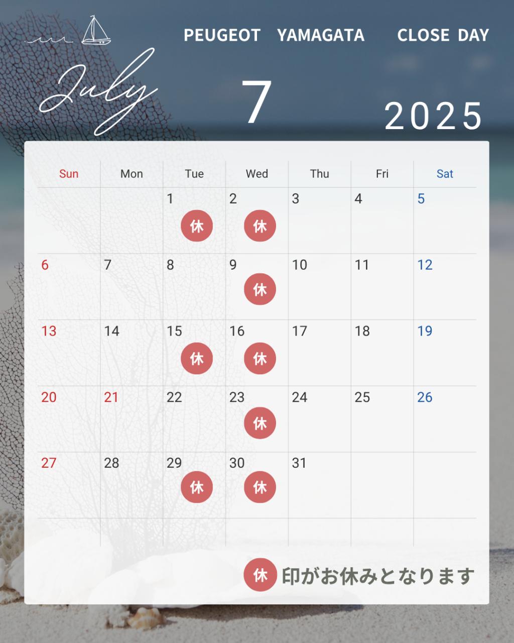 7月の定休日のご案内🦁