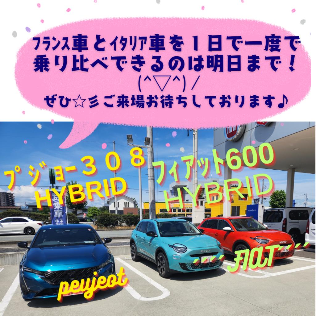 🦁乗り比べ試乗会！7/20㈰最終日です！🦁