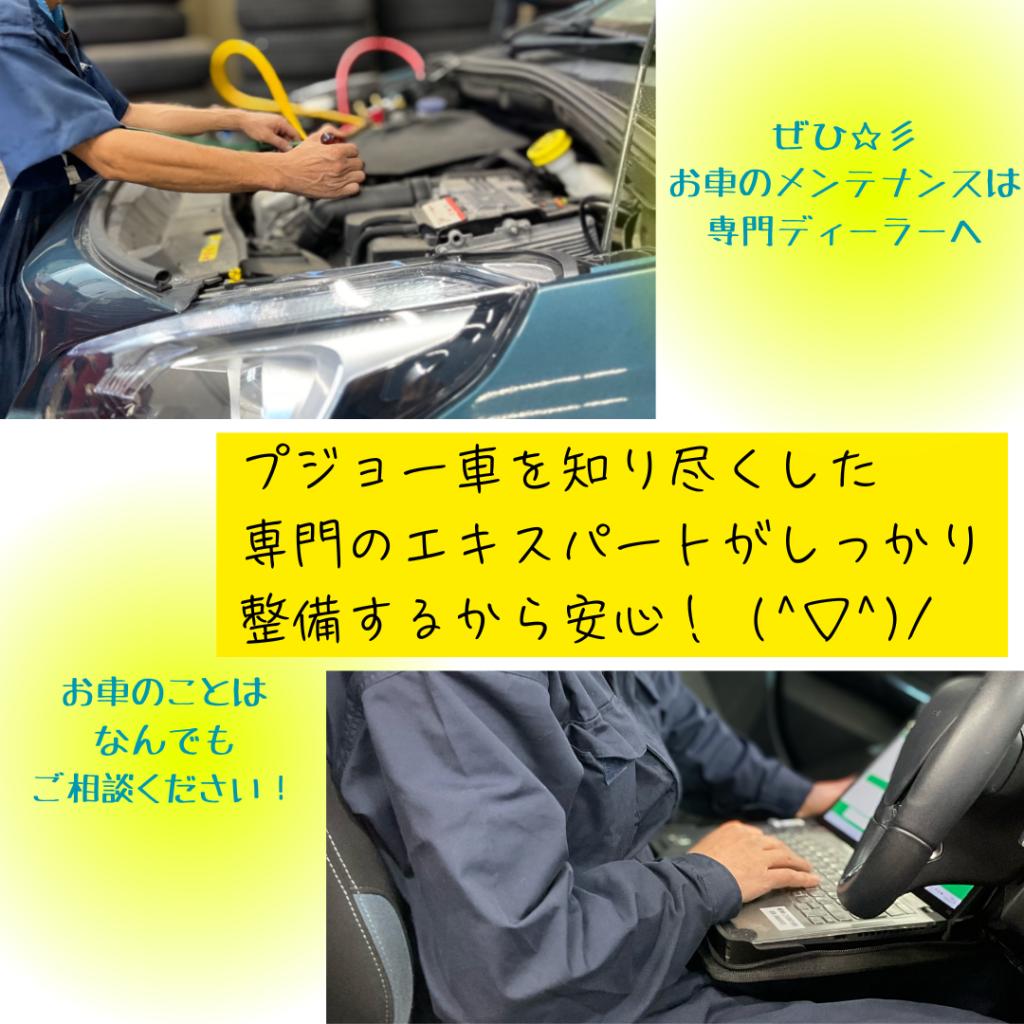 🦁ディーラー点検のオススメ